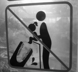 Curiosities and bonus pictures