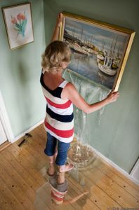 Curiosities and bonus pictures