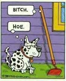 Curiosities and bonus pictures