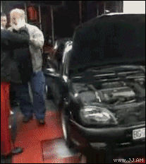 Collection of funny gif animations (53 gifs)