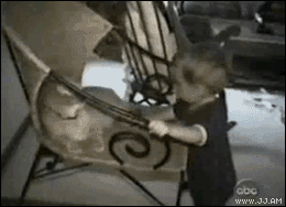 Collection of funny gif animations (53 gifs)