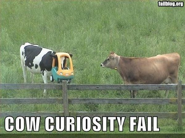 Daily picdump (104 pics)
