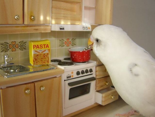 Daily picdump (104 pics)