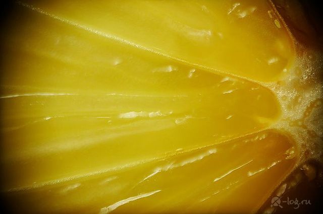 Close-up photography of vegetables, fruits and some objects (18 pics)