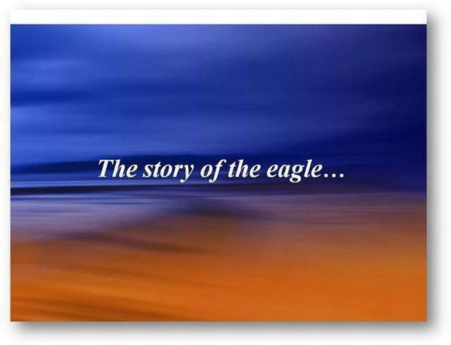 You should know the truth - Life of an eagle (13 pics)