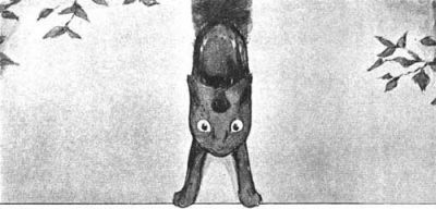 Curiosities and bonus pictures