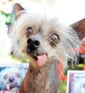 Curiosities and bonus pictures