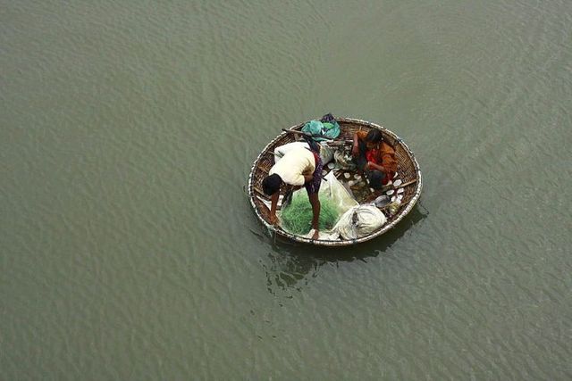 Daily picdump (126 pics)