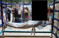 Curiosities and bonus pictures