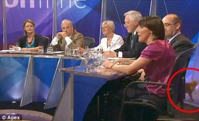 Curiosities and bonus pictures