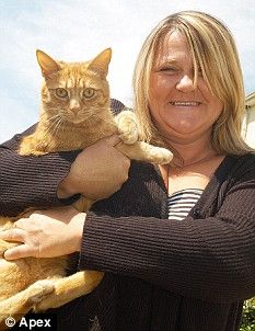 Curiosities and bonus pictures