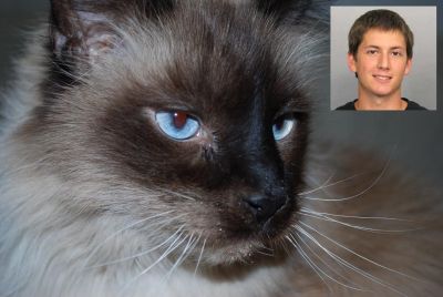 Curiosities and bonus pictures