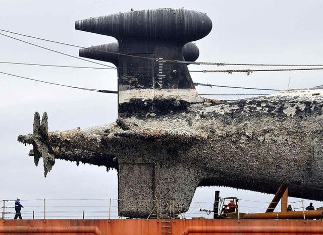 Daily picdump (138 pics)