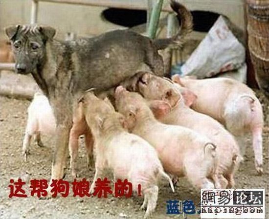 Daily picdump (138 pics)