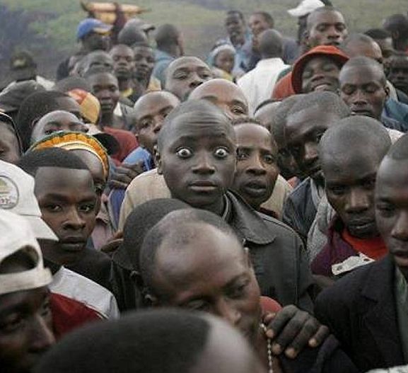 Daily picdump (138 pics)