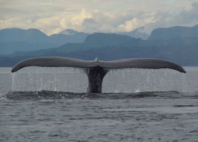 Daily picdump (103 pics)