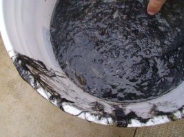 Curiosities and bonus pictures