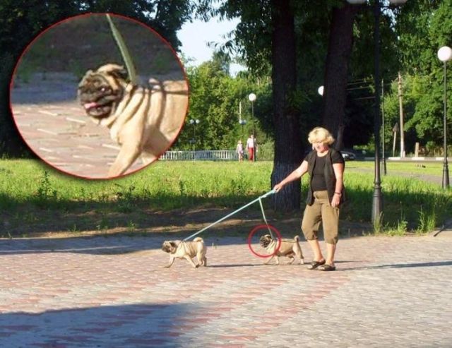 Daily picdump (103 pics)