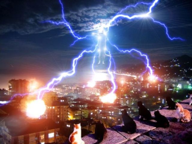 Daily picdump (102 pics)