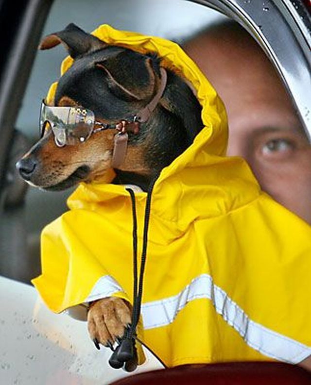 Daily picdump (102 pics)