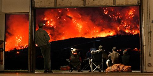 Curiosities and bonus pictures