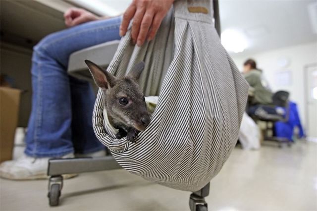 Daily picdump (107 pics)