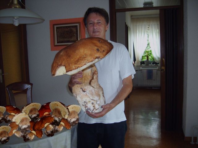 Daily picdump (107 pics)