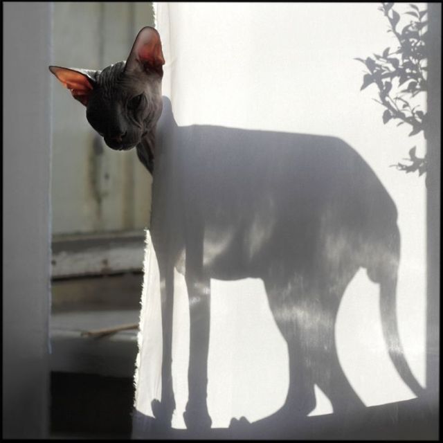 Daily picdump (153 pics)