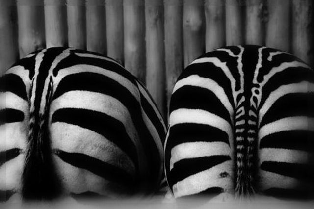 Daily picdump (153 pics)