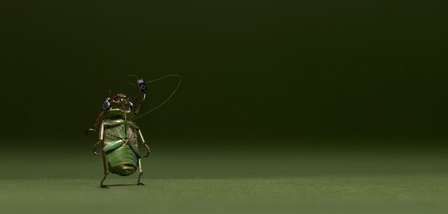 Daily picdump (121 pics)