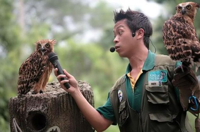 Daily picdump (121 pics)