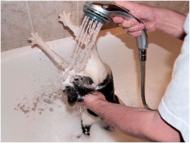 Daily picdump (121 pics)