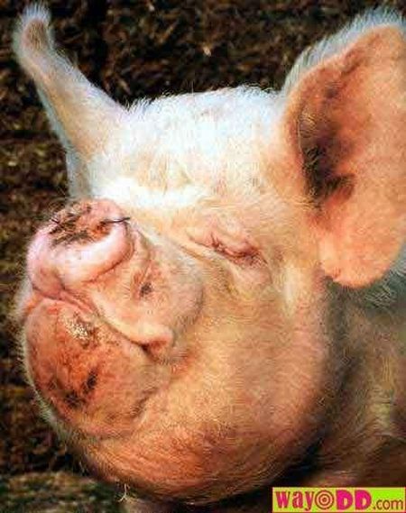 Daily picdump (121 pics)