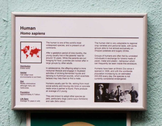 Daily picdump (121 pics)