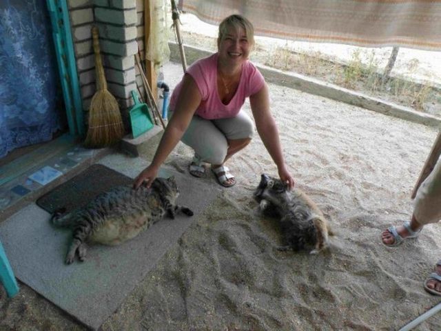 Daily picdump (121 pics)