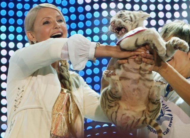 Daily picdump (121 pics)