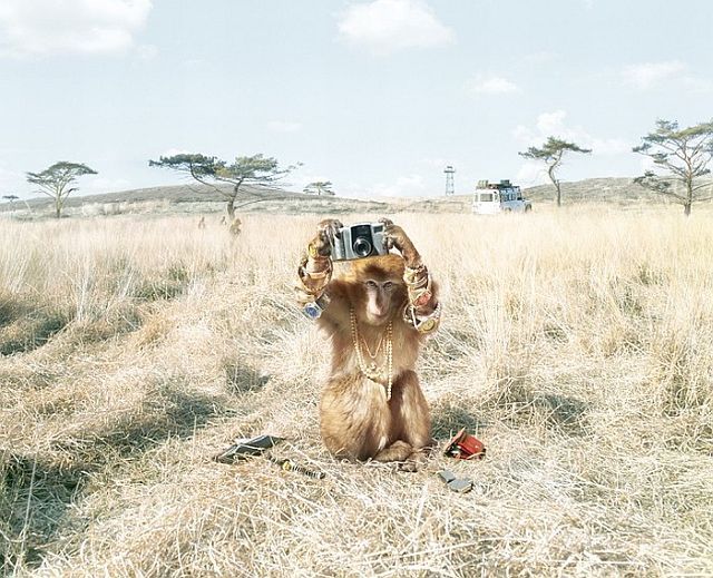 Beautiful works of Christopher Gilbert (120 pics)