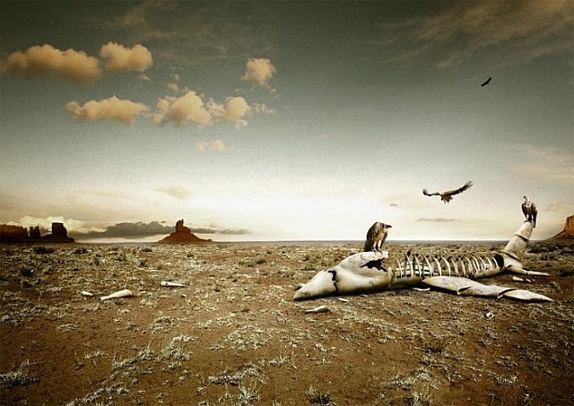 Beautiful works of Christopher Gilbert (120 pics)