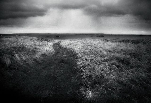 Beautiful works of Christopher Gilbert (120 pics)