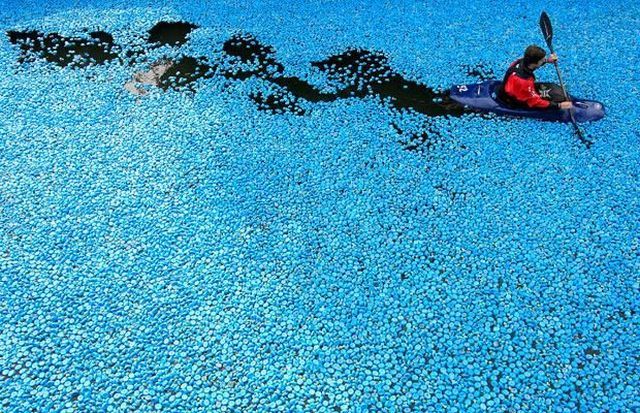 Daily picdump (149 pics)