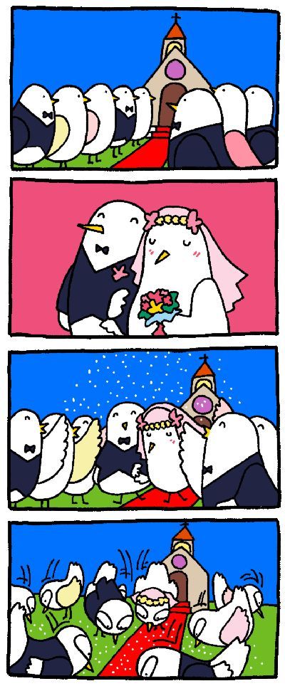 Daily picdump (149 pics)