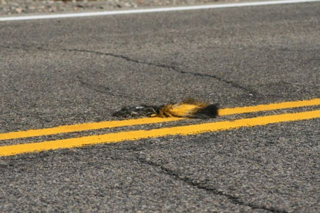 Daily picdump (149 pics)