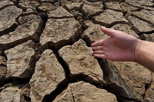 Daily picdump (111 pics)