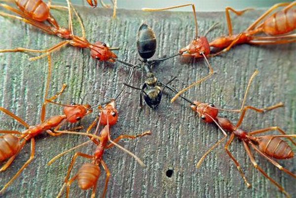 Daily picdump (111 pics)