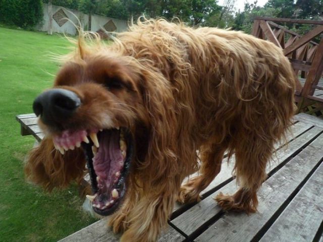 Daily picdump (111 pics)