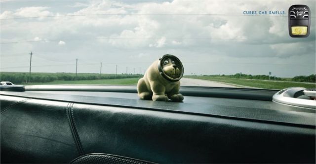 Daily picdump (111 pics)