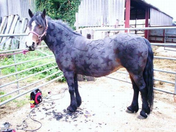 Daily picdump (111 pics)