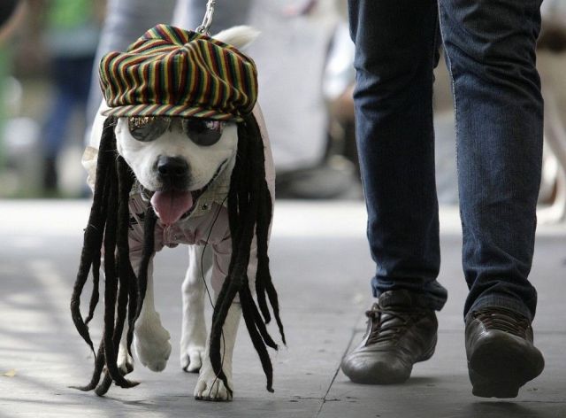 Daily picdump (127 pics)