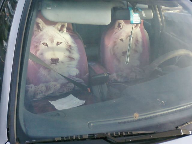 Daily picdump (127 pics)