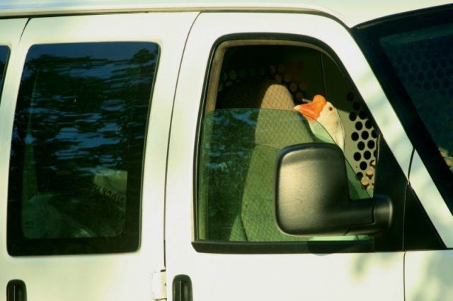 Daily picdump (127 pics)